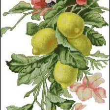 Схема вышивки «лимоны»