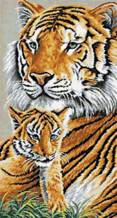 Тигрица с тигрёнком - тигры, тигр, животные, звери, тигренок, дикие животные - предпросмотр