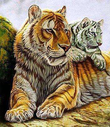 Тигрица с тигрёнком - животные, тигры, звери, тигр, тигренок, дикие животные - оригинал