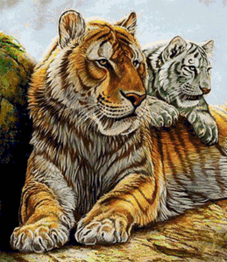 Тигрица с тигрёнком - животные, звери, тигр, дикие животные, тигры, тигренок - предпросмотр