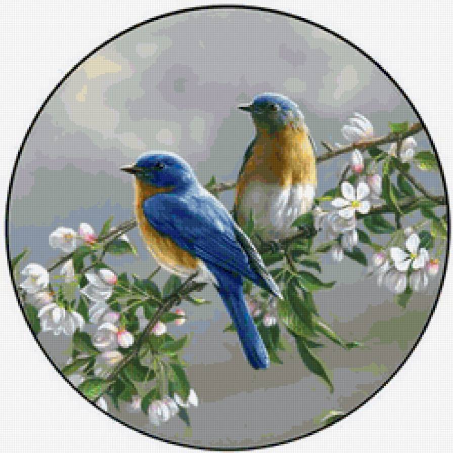 Птички - птицы, цветы, животные, круглое, салфетка - предпросмотр