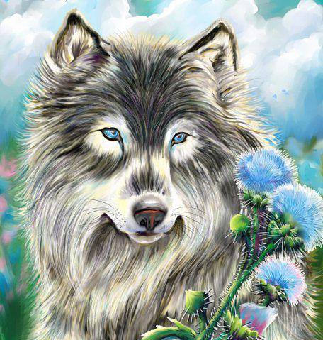 Волк - животные, волки, звери, цветы, голубое, волк, дикие животные - оригинал