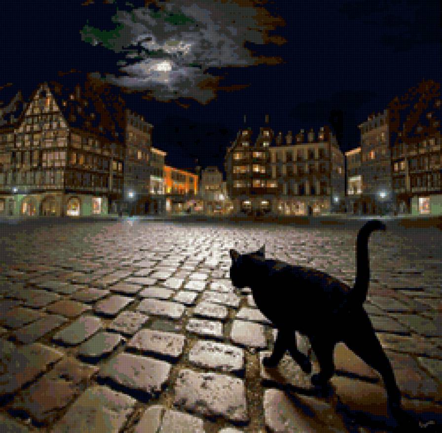 Ночь в городе - кот, ночь, город - предпросмотр