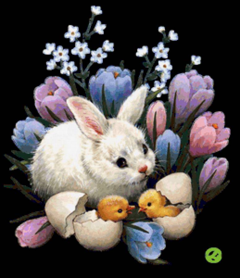 Кролик и цыплятки - ципленок, птички, зверюшки, пасхальное, черный фон, кролик, цветы - предпросмотр