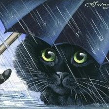 Оригинал схемы вышивки «черный кот под зонтом» (№97354)