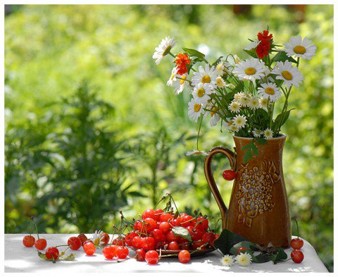 Ромашки и ягоды - ягоды, пейзаж, ягодки, лето, букет, ромашки, черешня - оригинал