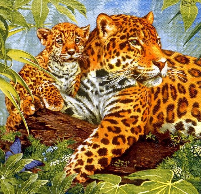 Леопарды - оригинал
