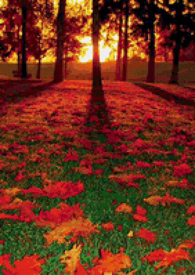 Осенние мотивы - осень, листья, лес - предпросмотр