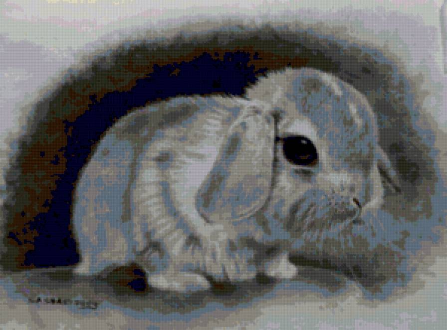 Чёрно-белый кролик)) - кролик, животные - предпросмотр