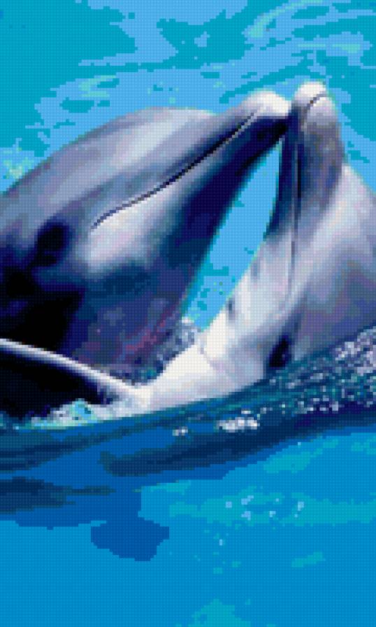 пара дельфинов - дельфины - предпросмотр