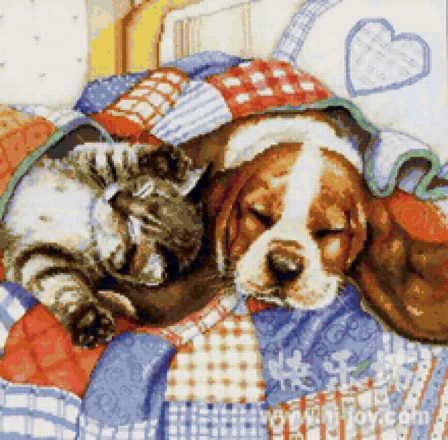 Сладкие сны - друзья, детское, двое, собака, сон, кошка, разное - предпросмотр