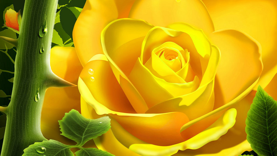 Желтая роза - цветок роза желтый - оригинал