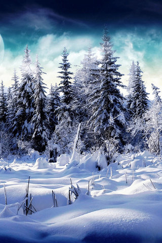 зимний лес - лес, снег, зима, пейзаж - оригинал
