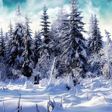 Оригинал схемы вышивки «зимний лес» (№98348)