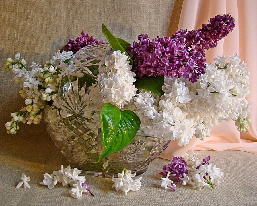 Сирень - цветы в вазе - оригинал