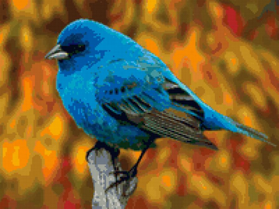 Птица - птицы, синий - предпросмотр