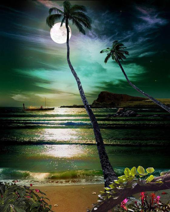 Южный берег - пальмы, берег, природа, море, пейзаж, океан - оригинал
