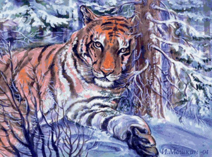 Тигр - снег, тигр, зима, природа, звери, животные, тигры - предпросмотр