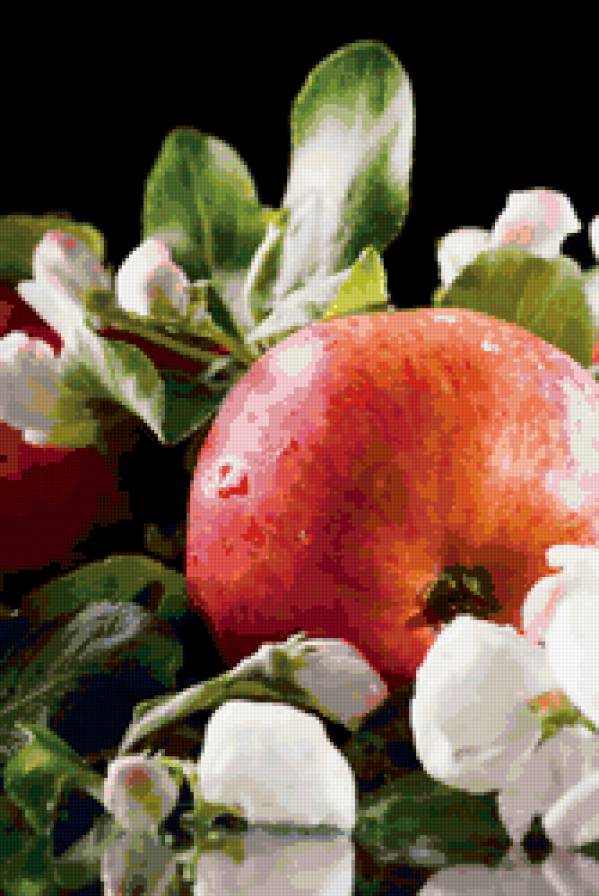натюрморт - цветы, яблоко - предпросмотр