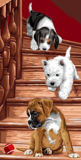 Щенки на лестнице - щенки, животные, пес, собака - оригинал