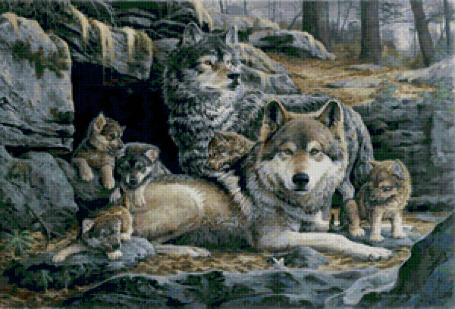 волчья семья - семья, волк - предпросмотр