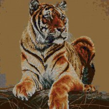 Оригинал схемы вышивки «Гордый тигр!)))» (№101589)