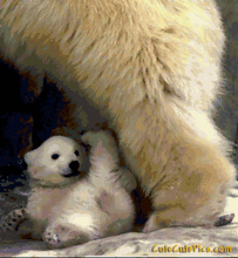 Белый медвежонок - животные - предпросмотр