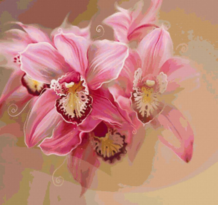 Серия "Букет" - букет, цветы, орхидеи - предпросмотр