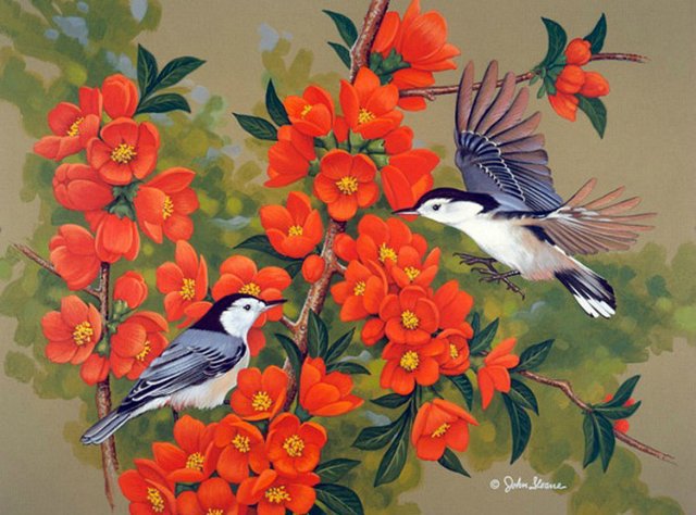 Серия "Птицы" - птицы, букет, цветы - оригинал