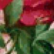 Предпросмотр схемы вышивки «Букет розовые пионы» (№103426)