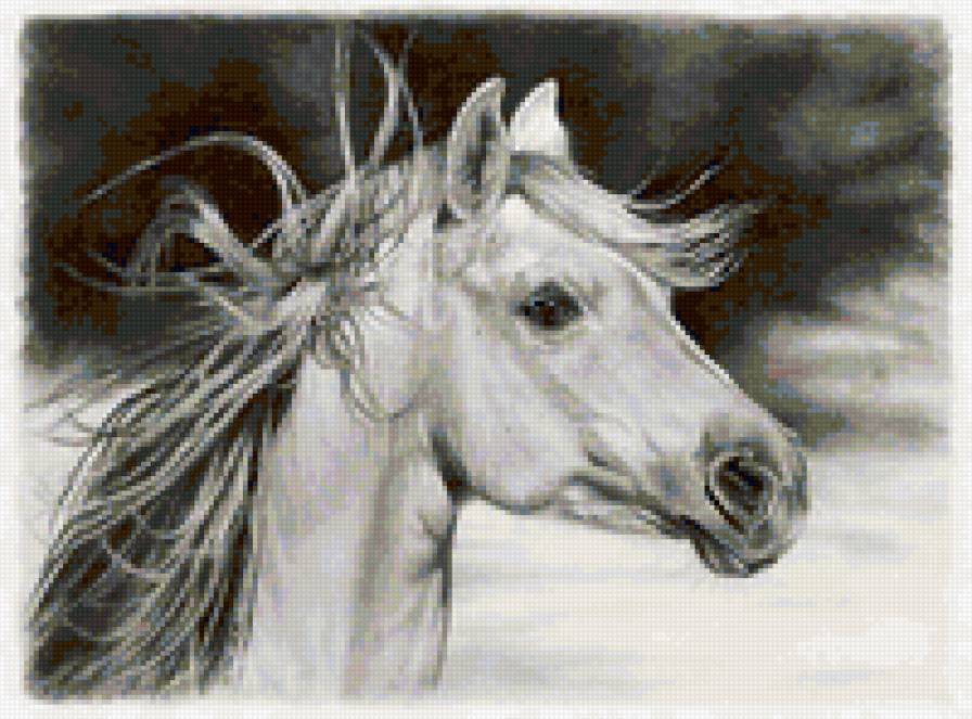 белый конь - лошади, кони, животные - предпросмотр