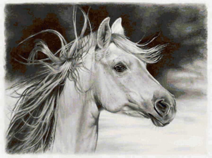 белый конь - кони, животные, лошади - предпросмотр