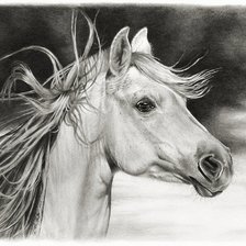 Оригинал схемы вышивки «белый конь» (№103787)
