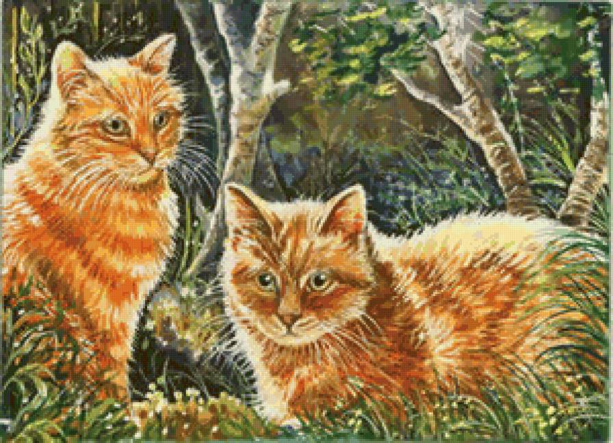 Очень милые коты) - питомцы, кот, кошка, животные, коты - оригинал