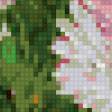 Предпросмотр схемы вышивки «хризантемы» (№104540)