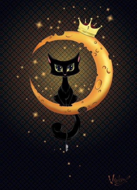 Сырная киса - кот, луна, картинка, кошка - оригинал