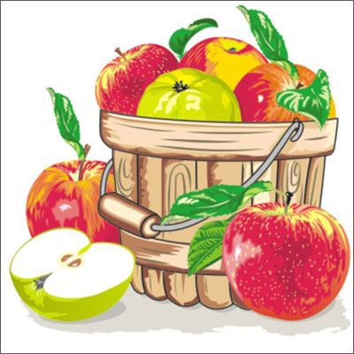 Яблоки - яблоки, яблоко, плоды, урожай, корзина, яблочки, фрукты - оригинал
