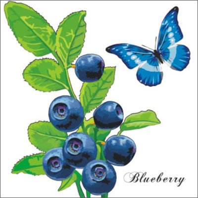 Голубика - подушка, панно, ягоды, ягодки, бабочка, голубика, черника, ягода - оригинал