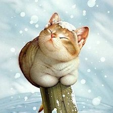 котенок под снегом