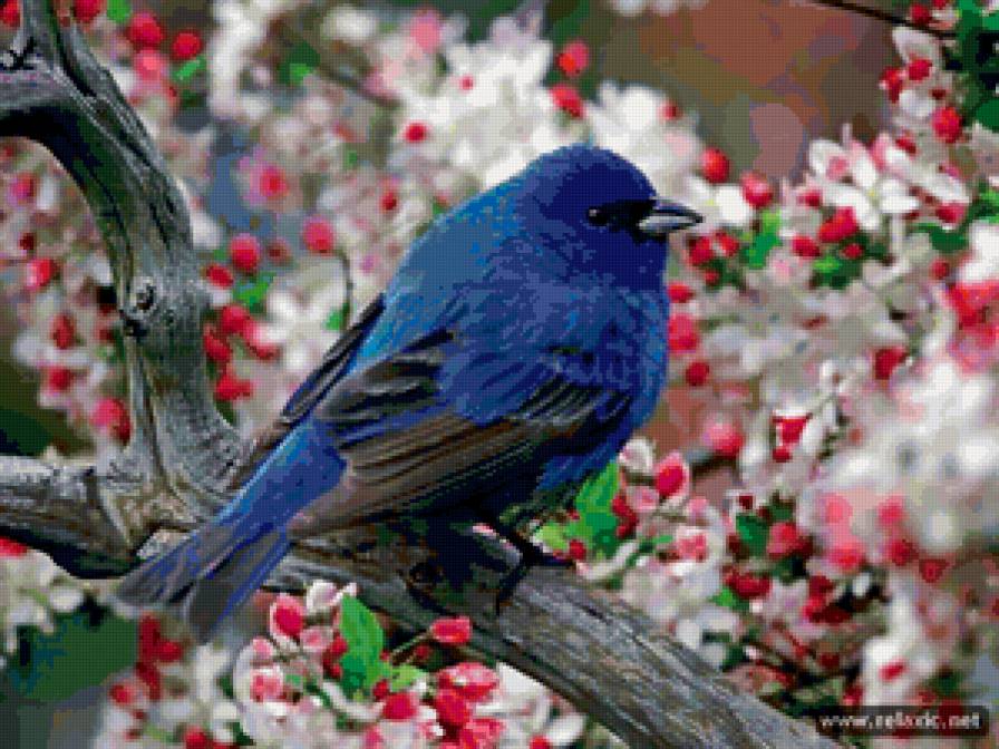 Птица в цветах - птица. цветы - предпросмотр