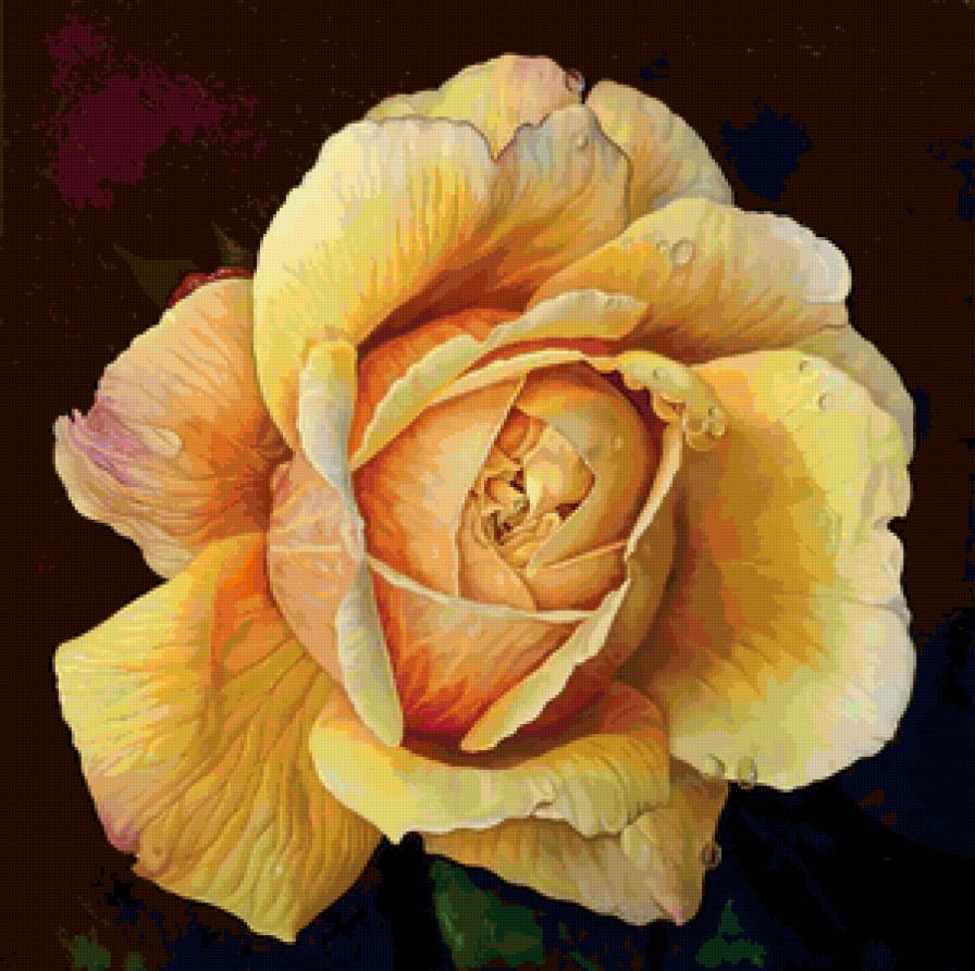 Серия "Букет" - цветы, роза - предпросмотр