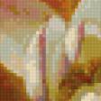 Предпросмотр схемы вышивки «цветок и стрекоза» (№105378)