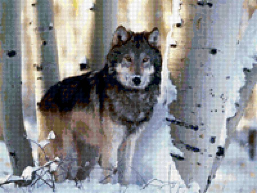Волк - лес, зима, животные, волк - предпросмотр