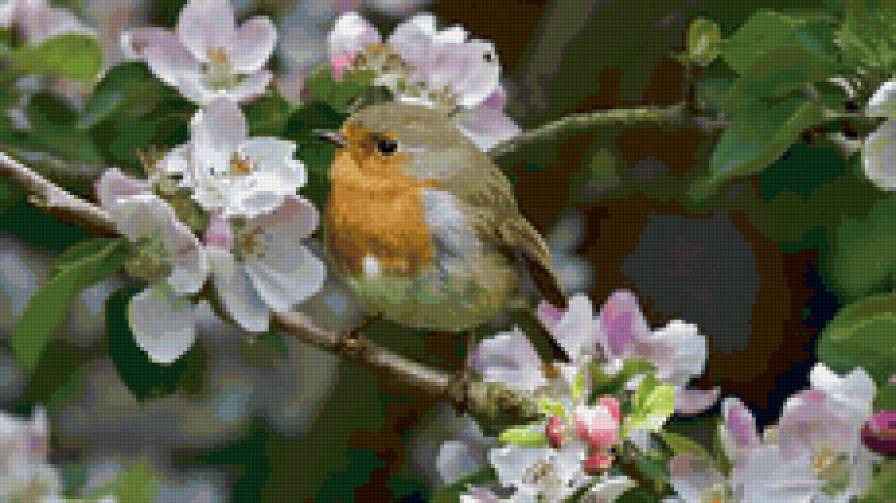 Птичка - цветы, природа, весна, птичка - предпросмотр