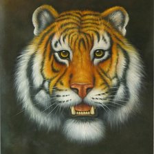 Оригинал схемы вышивки «тигр» (№105603)