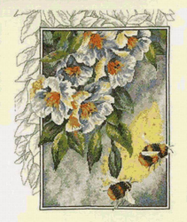 №105647 - насекомые, пчелы, цветы - предпросмотр
