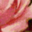Предпросмотр схемы вышивки «розы» (№105701)