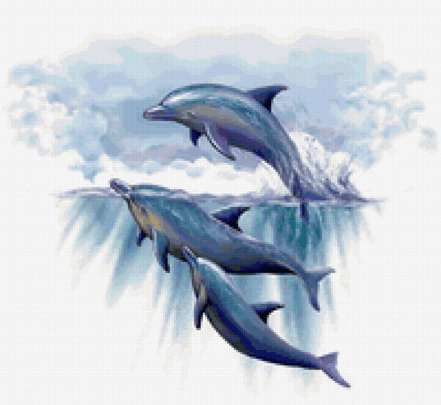 Дельфины - животные, картина, море - предпросмотр