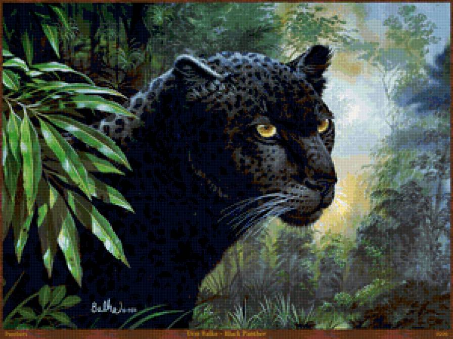 Черный леопард - животные, хищник, большие кошки - предпросмотр