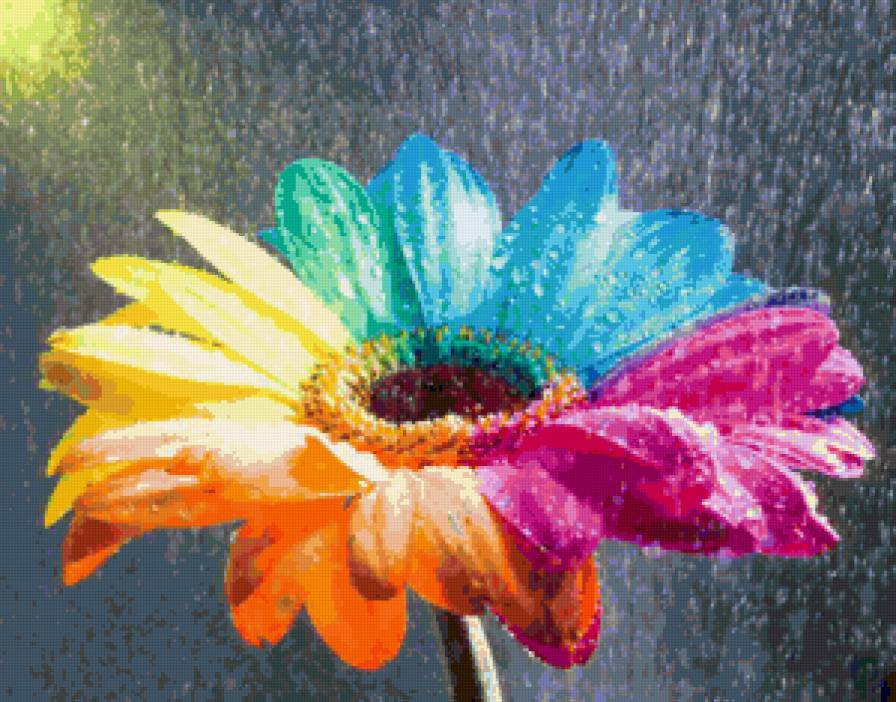 Яркий разноцветный цветочек) - цветок, необычно, цветы, flowers - предпросмотр